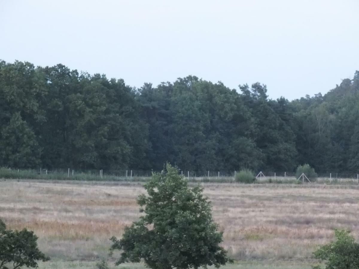 Ferienwohnung Waldblick Alt Schwerin Exterior foto
